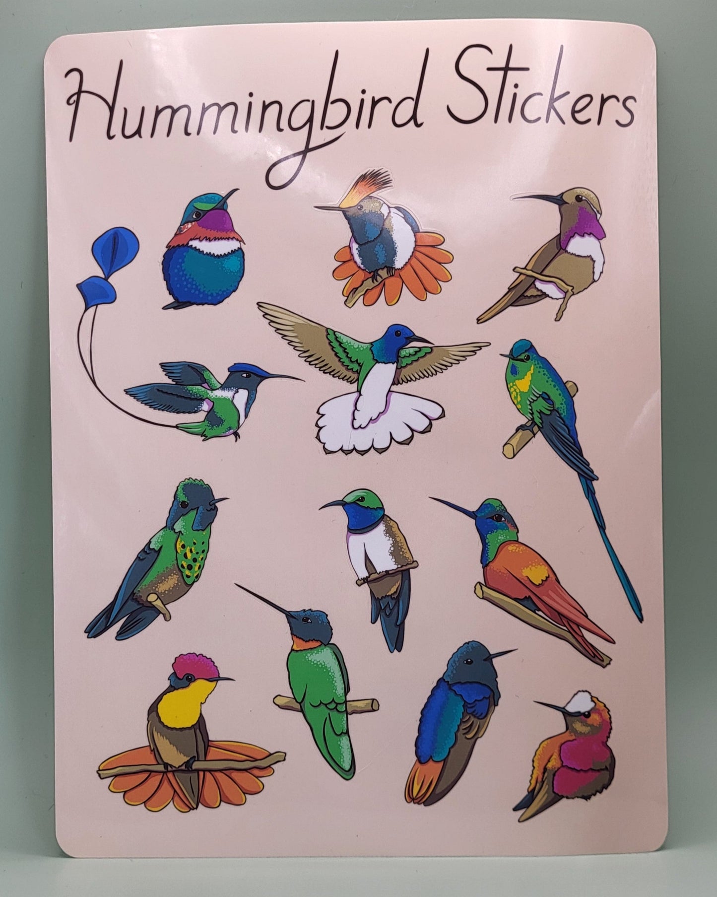 Humming Bird Sticker Sheet