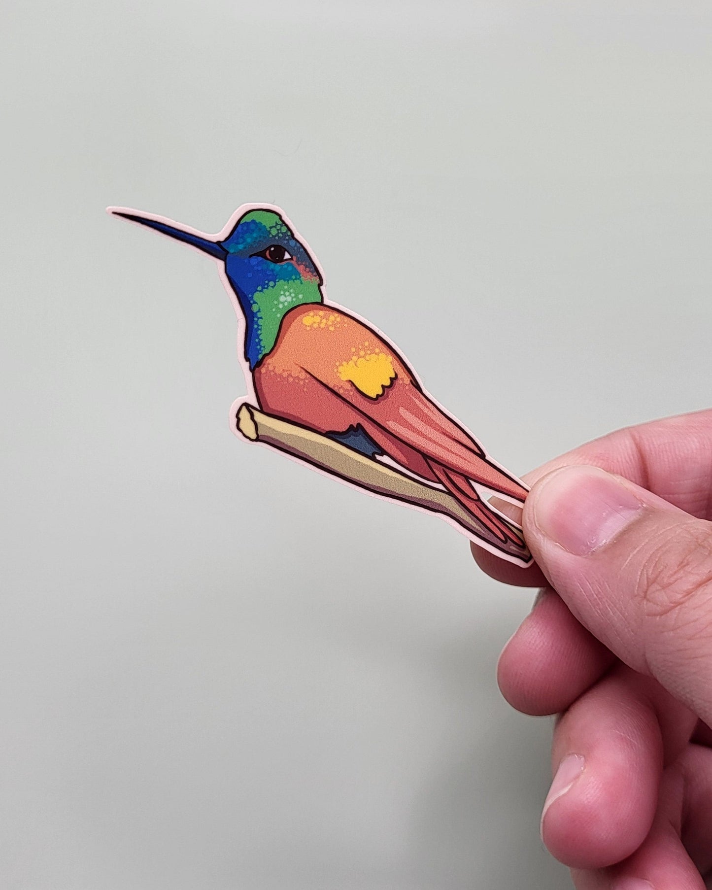 Humming Bird Sticker Sheet
