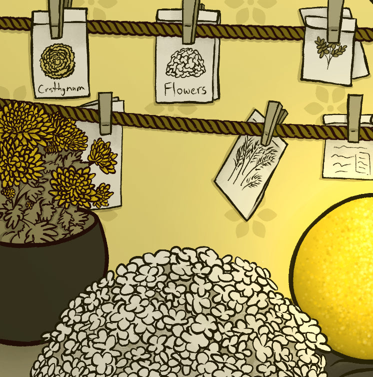 Yellow Witch's Room Print