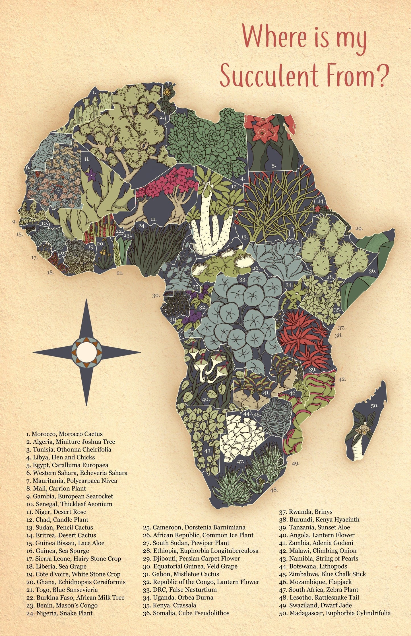 Succulents of Africa Map Poster