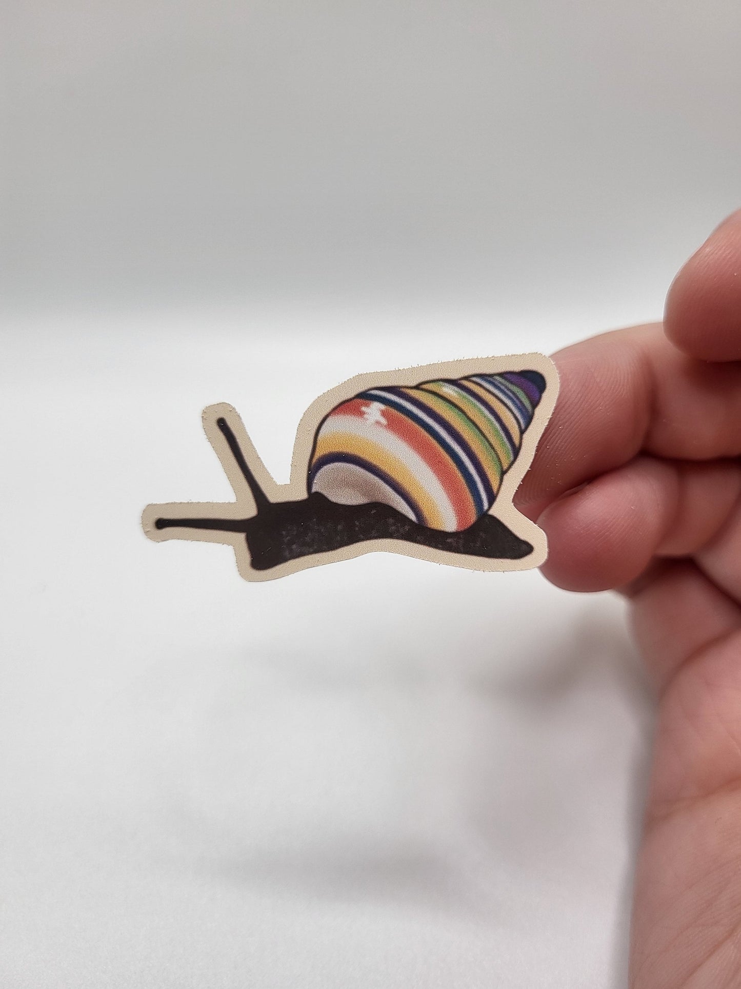 Snail Sticker Sheet
