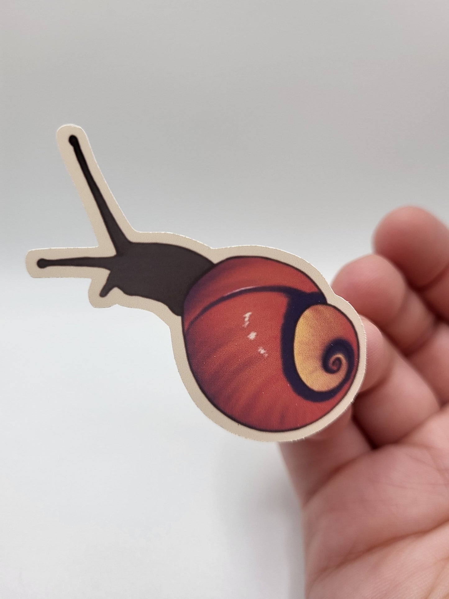 Snail Sticker Sheet