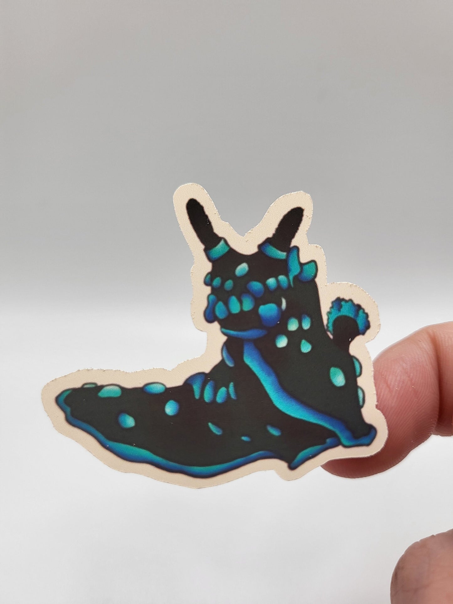 Sea Slug Sticker Sheet