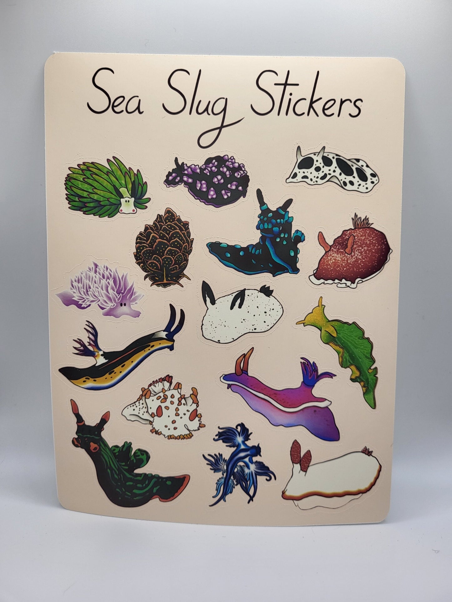 Sea Slug Sticker Sheet