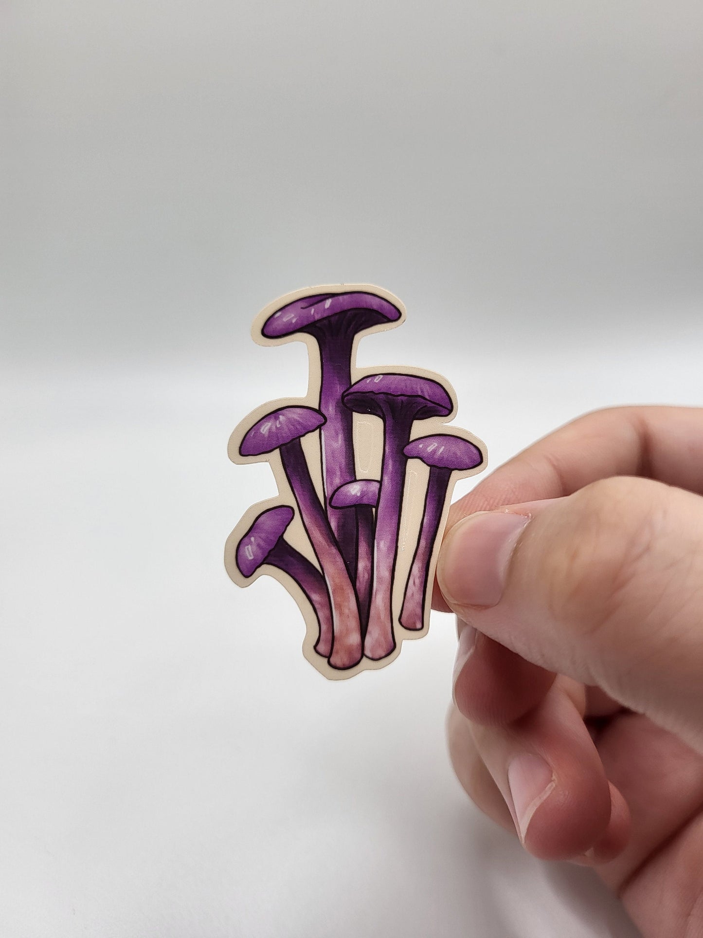 Mushroom Sticker Sheet