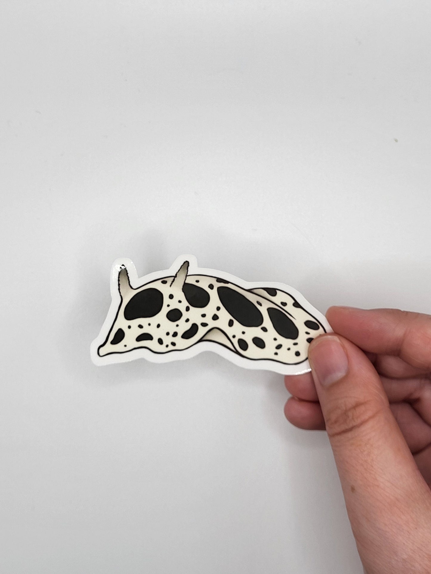 Sea Slug Kiss Cut Stickers