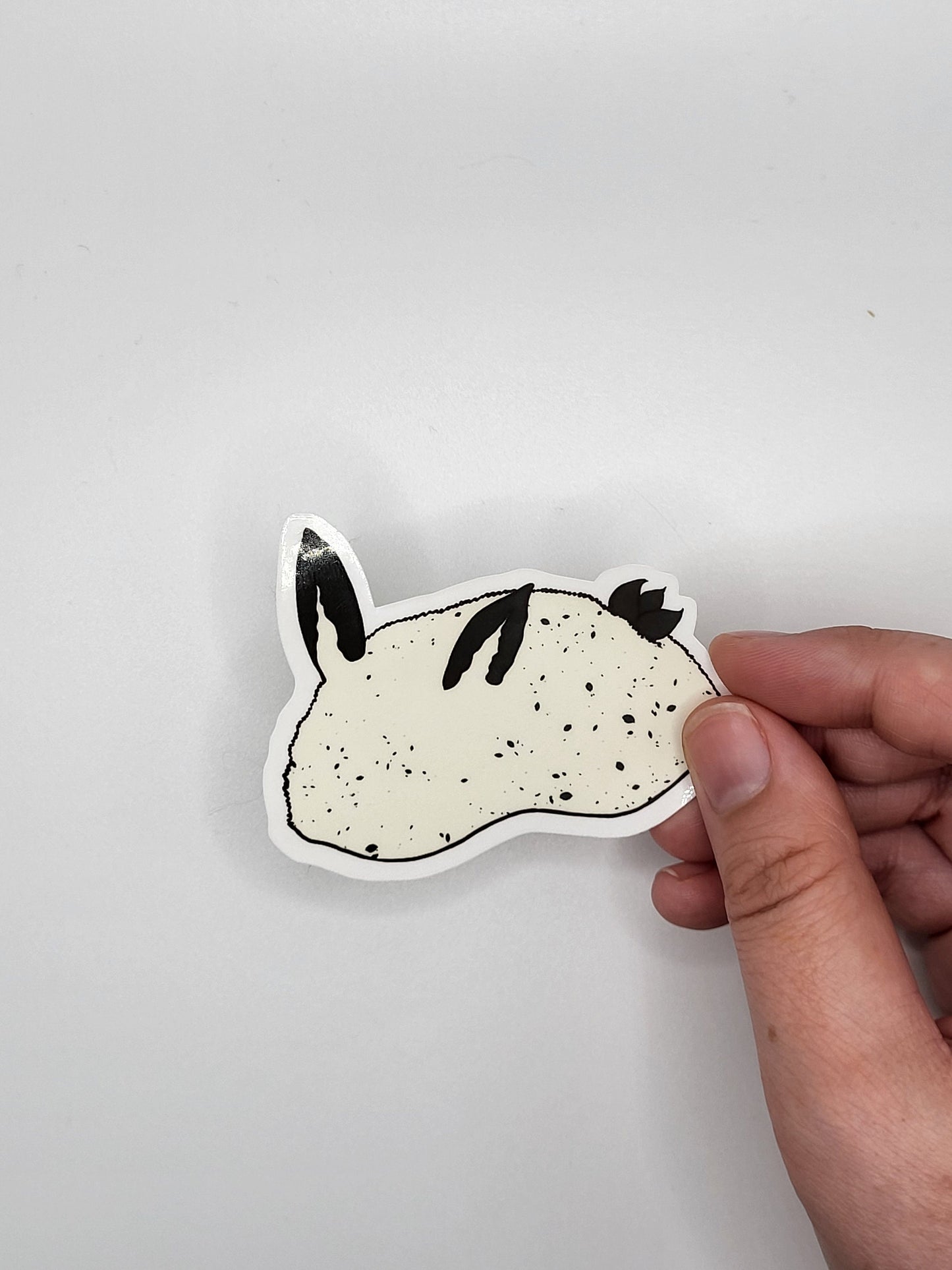 Sea Slug Kiss Cut Stickers