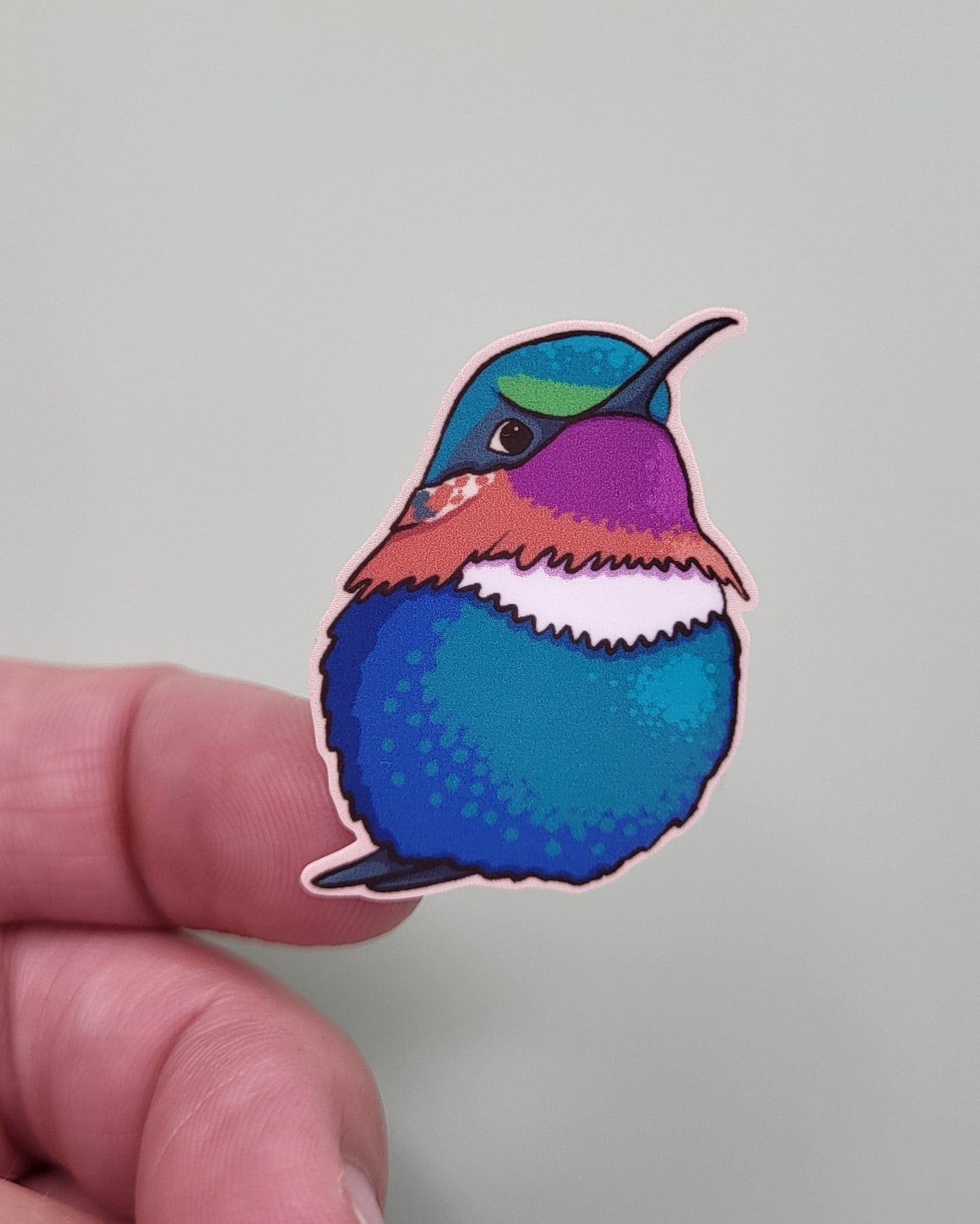 Humming Bird Sticker Sheet