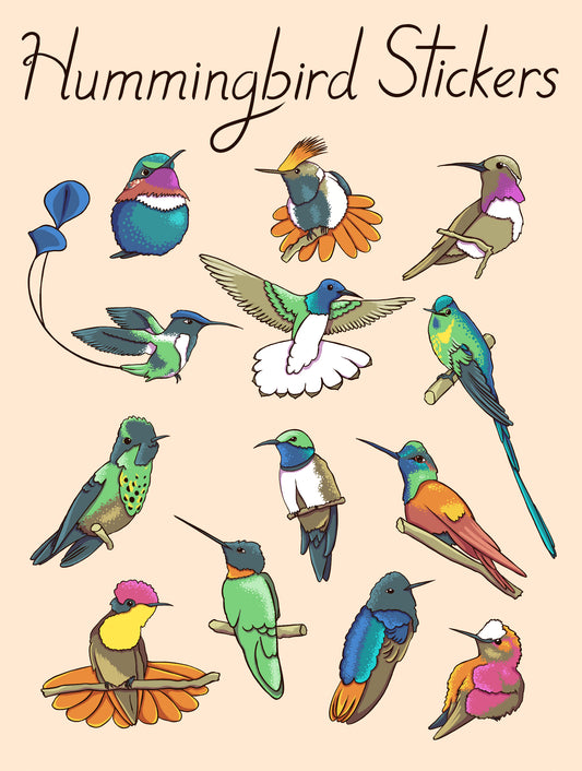 Humming Bird Sticker Sheet