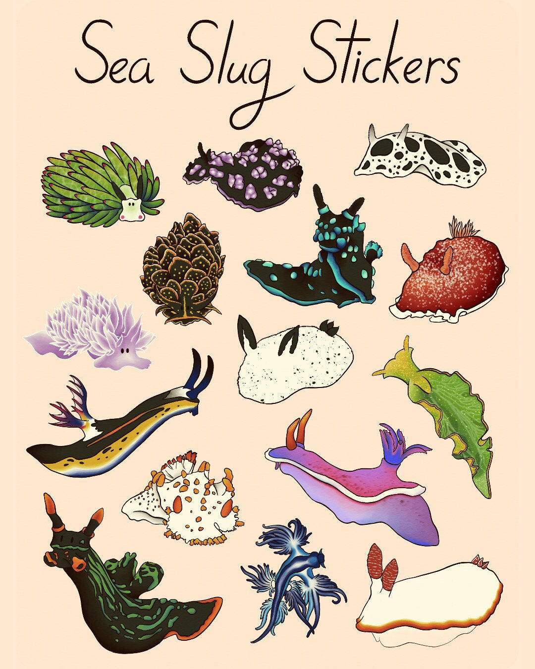 Sea Slug Sticker Sheet – Daniell Designs